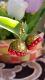 Terracotta Jhumka Earrings Terracotta Jhumka Earrings