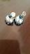 Blue & Silver Terracotta Jhumka Earrings