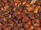 Spanish Fried Peanuts [Med], 11 Oz Pack
