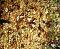 South Indian Mix / Spicy Indian Snack, 11 Oz Pack South Indian Mix / Spicy Indian Snack, 11 Oz Pack