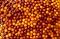 Angoori Jamun - Bite Size - New, 1 Pound Angoori Jamun - Bite Size - New, 1 Pound