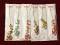 Indian Fashion Mang Tika W/ Colored Stones Indian Fashion Mang Tika W/ Colored Stones