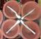 Small Traditional Clay Diya /w Wick - 24 Pcs Small Traditional Clay Diya /w Wick - 24 Pcs