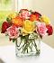 Modern Roses - One Dozen Assorted Modern Roses - One Dozen Assorted