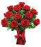 Premium Ruby Red Roses - One Dozen Premium Ruby Red Roses - One Dozen
