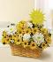 Basket of Sunshine Basket of Sunshine