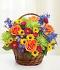 Beautiful Basket Beautiful Basket