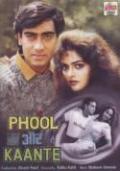 Phool Aur Kaante (1993)bollywood dvd with english subtitles