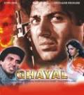 Ghayal - DVD