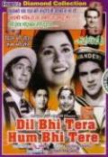 Dil Bhi Tera Hum Bhi Tere bollywood dvd with english subtitles
