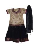 South Indian Pattu Langa Blouse For Girls In Tan & Black