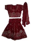Traditional Maroon & Gold Embellished Lehenga Choli