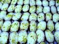 Kheer Mohan, 1 Pound Kheer Mohan, 1 Pound