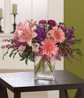 Pink & Purple Celebration