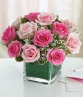 Expressions of Pink