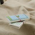 Handmade Recycled paper Travellers Diary 06 {SET OF 2} Handmade Recycled paper Travellers Diary 06 {SET OF 2}