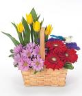 Happy Birthday Garden