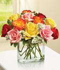 Modern Roses - One Dozen Assorted