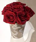Julep Cup Roses