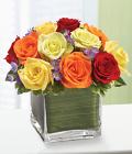 Rainbow of Roses