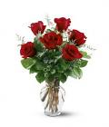 1/2 Dozen Red Roses
