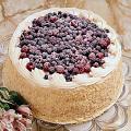 Bacca Di Montagnia Cake /w Berries Bacca Di Montagnia Cake /w Berries