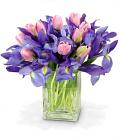 Pink and Blue Surprise Pink and Blue Surprise