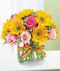 1-800-Flowers Modern Enchantment for Spring 1-800-Flowers Modern Enchantment for Spring