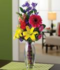 Cheery & Bright