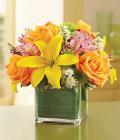 1-800-Flowers Fields of Europe in Cube Vase 1-800-Flowers Fields of Europe in Cube Vase