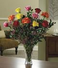 Magnificent Mixed Dozen Roses Magnificent Mixed Dozen Roses
