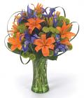 Blooming Glory Blooming Glory