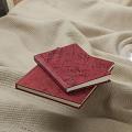 Recycled Paper Handmade Office Diary 27 {SET OF 2}