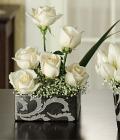 Triple-True Love Roses