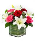 Lovely Lily & Roses Romance Cube Lovely Lily & Roses Romance Cube