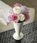 Elegant Pastel Rose Wishes