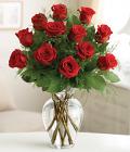 Premium Dozen Red Roses Premium Dozen Red Roses