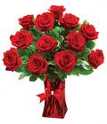 Premium Ruby Red Roses - One Dozen Premium Ruby Red Roses - One Dozen