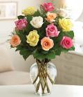 Rose Elegance Premium Long Stem Assorted Roses Rose Elegance Premium Long Stem Assorted Roses