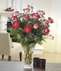 Beautiful Bicolor Dozen Roses