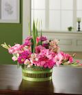 Glad Tidings Basket Glad Tidings Basket