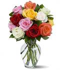 Rose Bouquet, 1 Dozen Mixed Roses