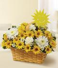 Basket of Sunshine Basket of Sunshine