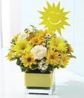 It's Your Sunny Day It's Your Sunny Day